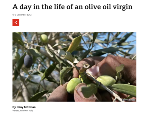 BBC – December 9, 2012: A Day in the Life of an Olive Oil Virgin